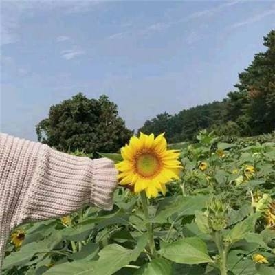 蒋万安呼吁台当局说明关税谈判情况 业者民众亟需明确信息